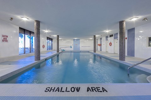 A swimming pool with the words "Shallow Area" written on the bottom.